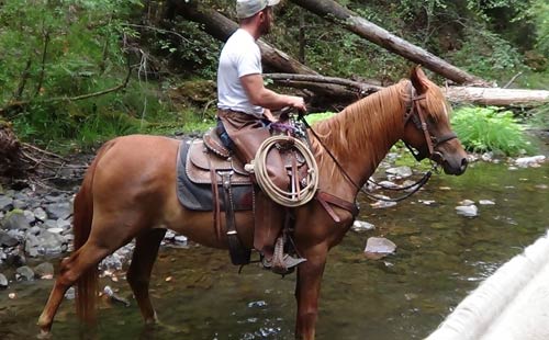 Spantik on the trail