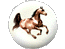 Bay Area Equestrian Network