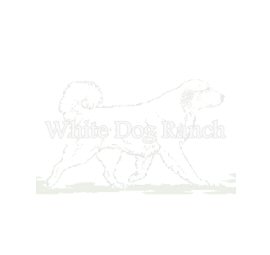 White Dog Ranch, Mendocino County